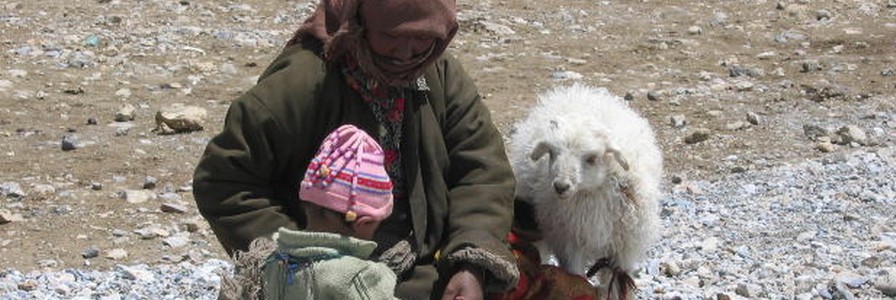 Tibetische Hundenamen